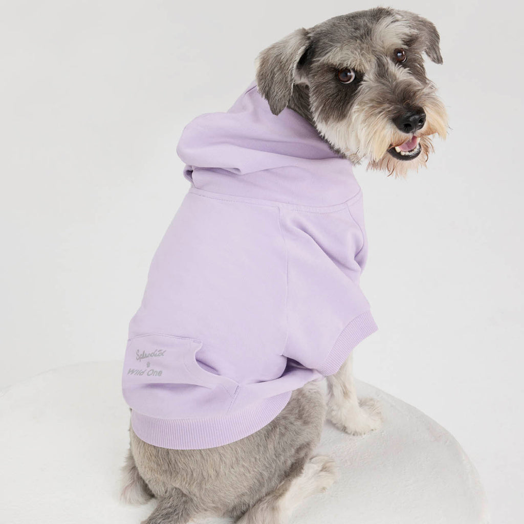 Splendid x Wild One Dog Hoodie