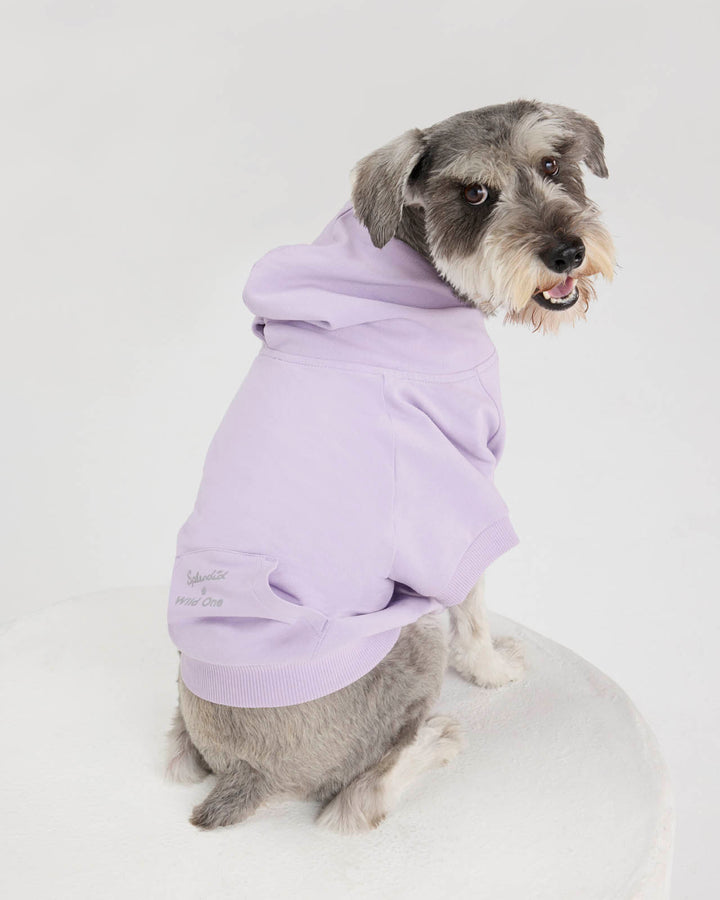 Splendid x Wild One Dog Hoodie | Splendid