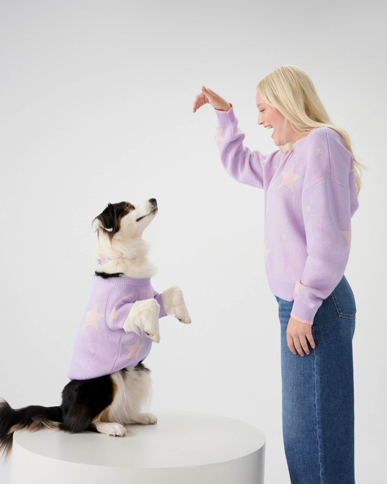 Splendid x Wild One Dog Star Sweater | Splendid