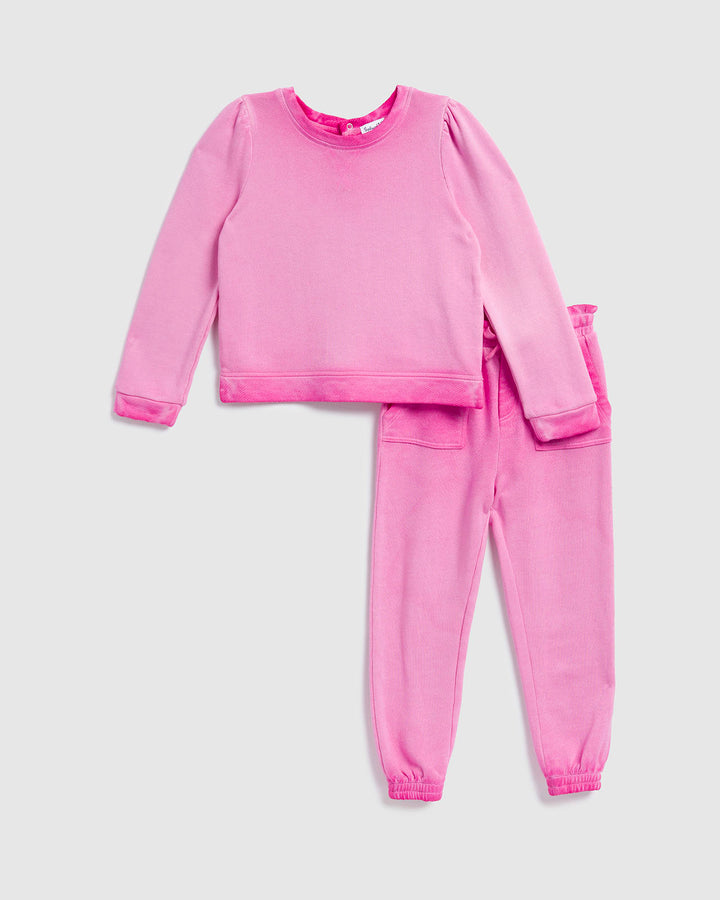 Toddler Girl Pretty in Pink Jogger Set