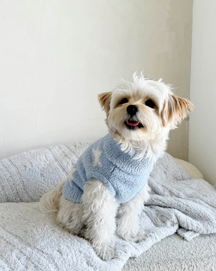 Small pet sweaters online