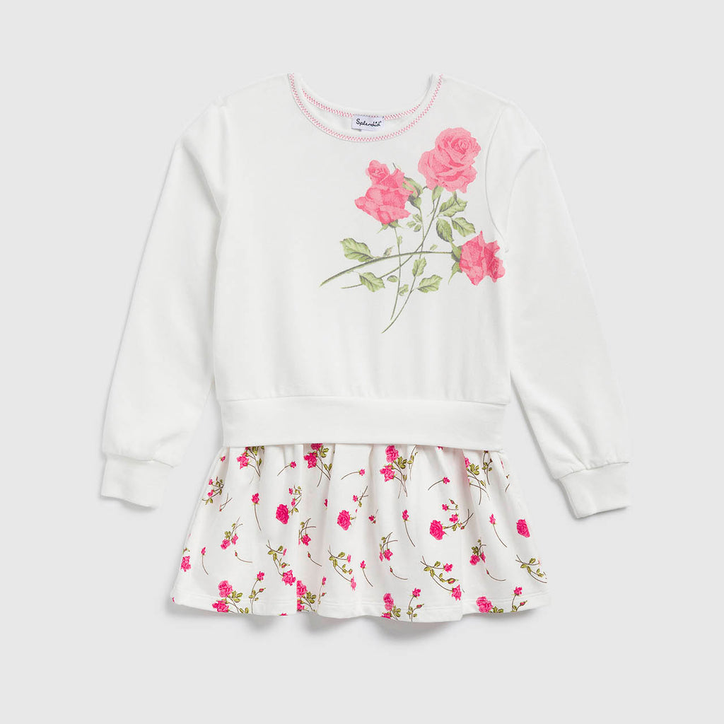 Toddler Girl Rose Dress