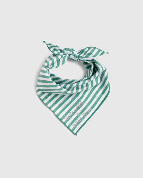 Splendid x Wild One Dog Bandana | Splendid