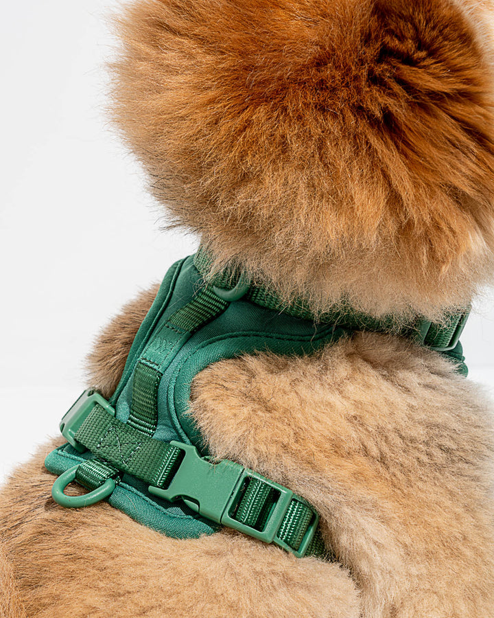 Splendid x Wild One Harness | Splendid
