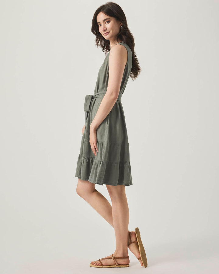 Hudson Flounce Dress
