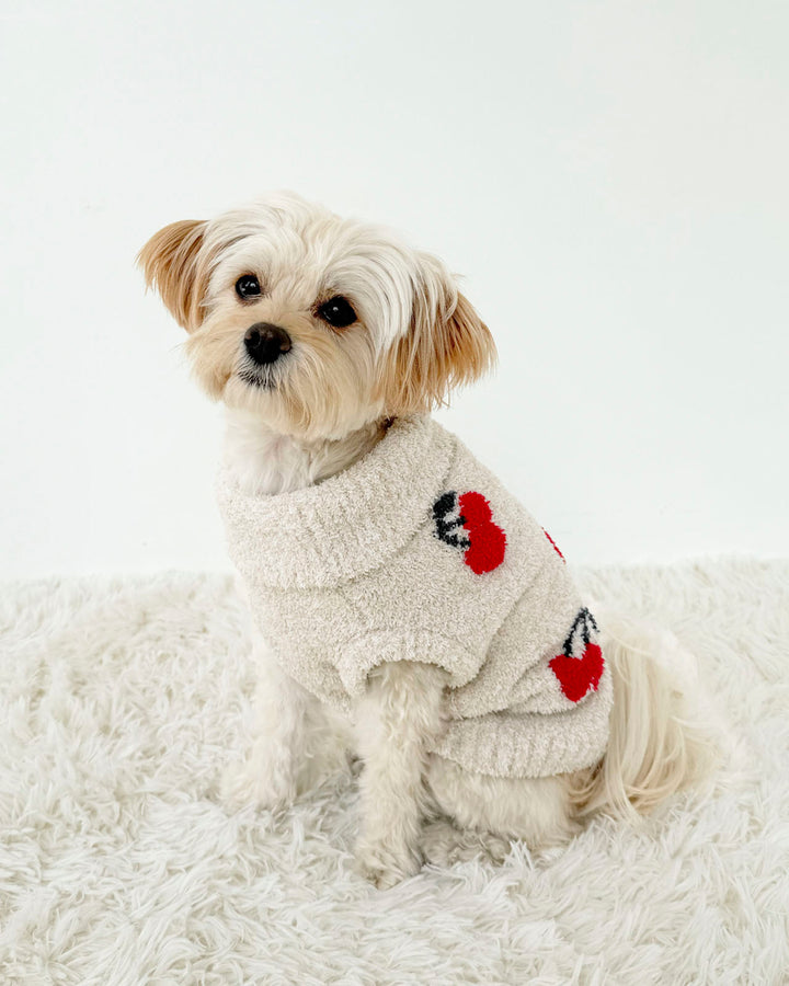 Cherries Fuzzy Pet Sweater - Cherries / L / RPF2507IES