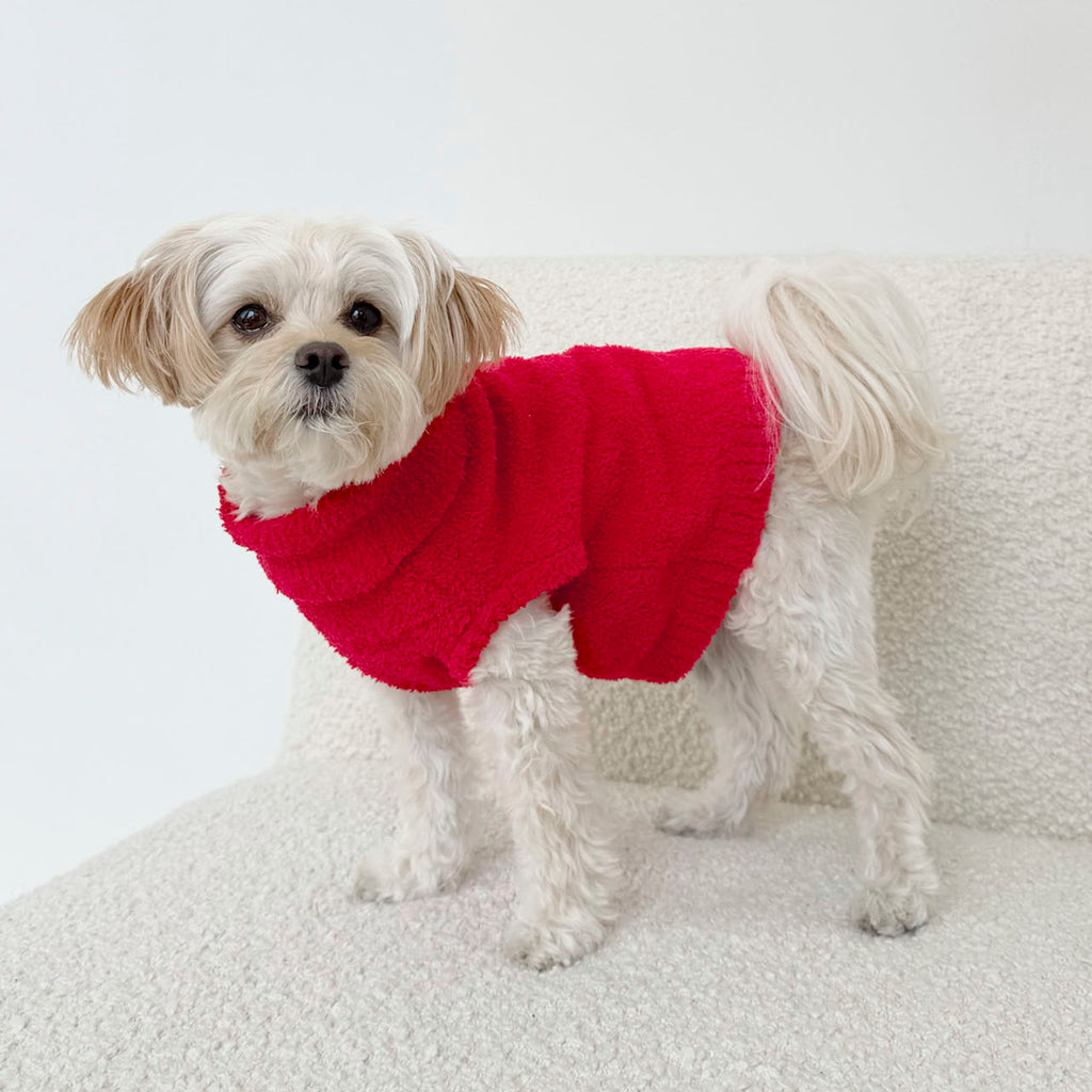 splendid - Red Fuzzy Pet Sweater