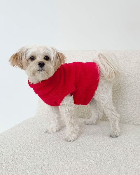 splendid - Red Fuzzy Pet Sweater