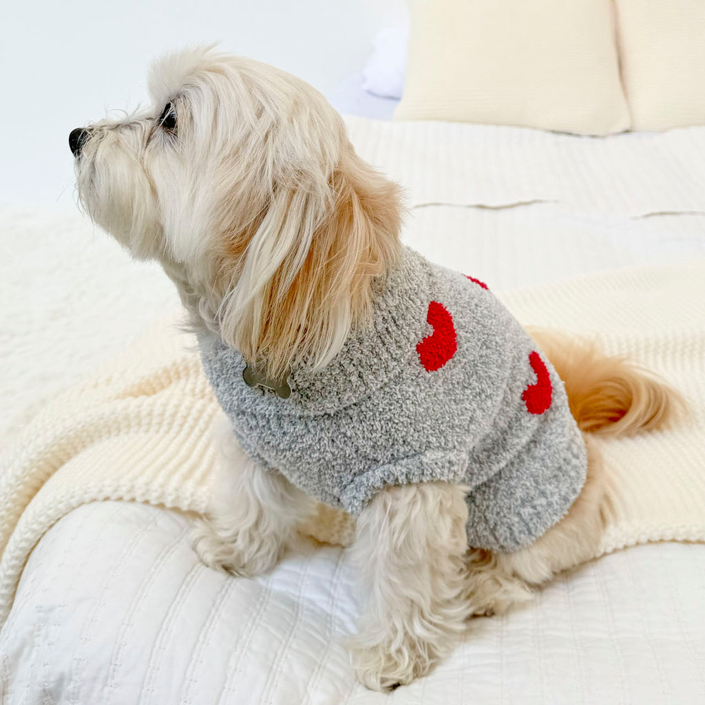 Red Hearts Fuzzy Pet Sweater