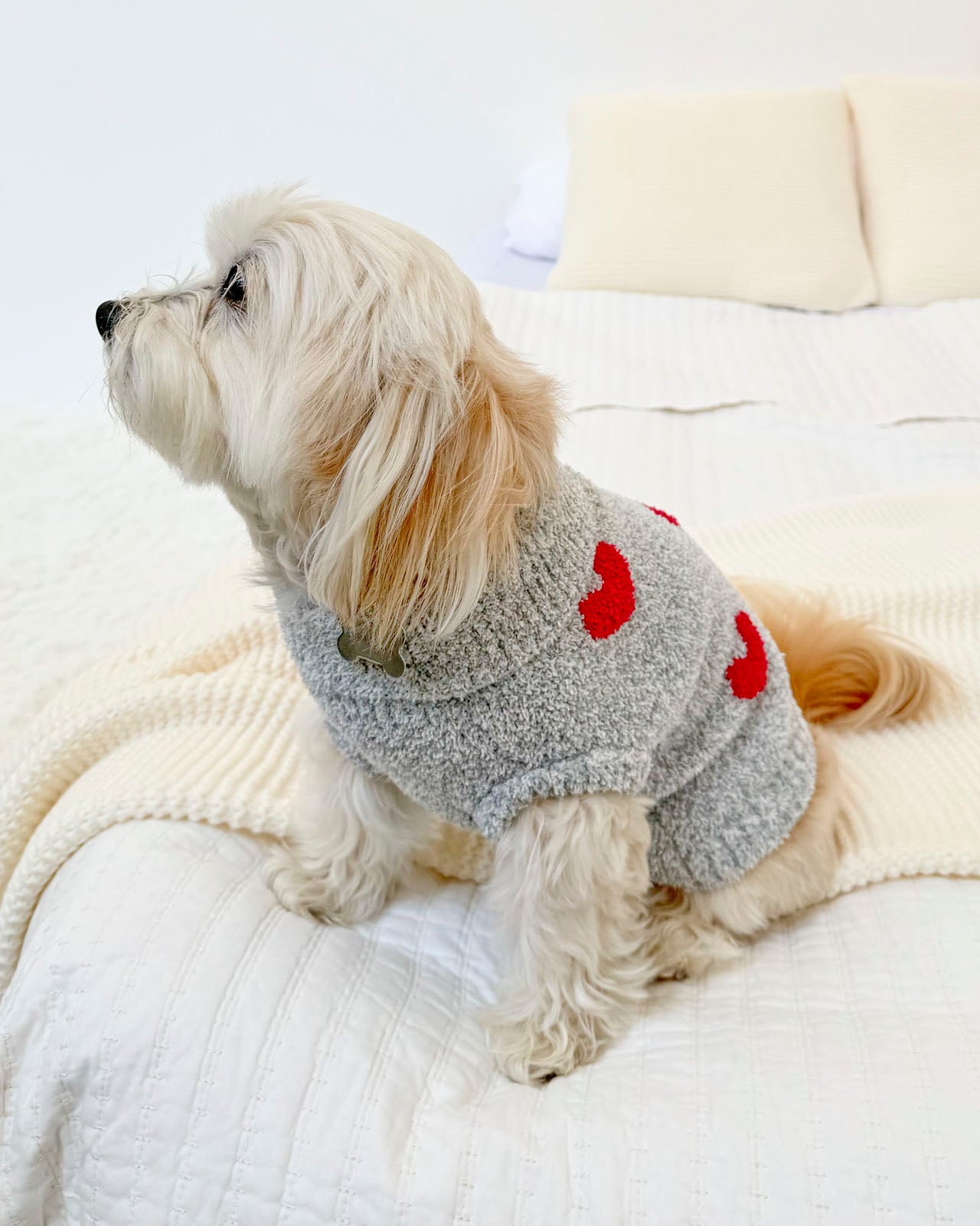 Red Hearts Fuzzy Pet Sweater