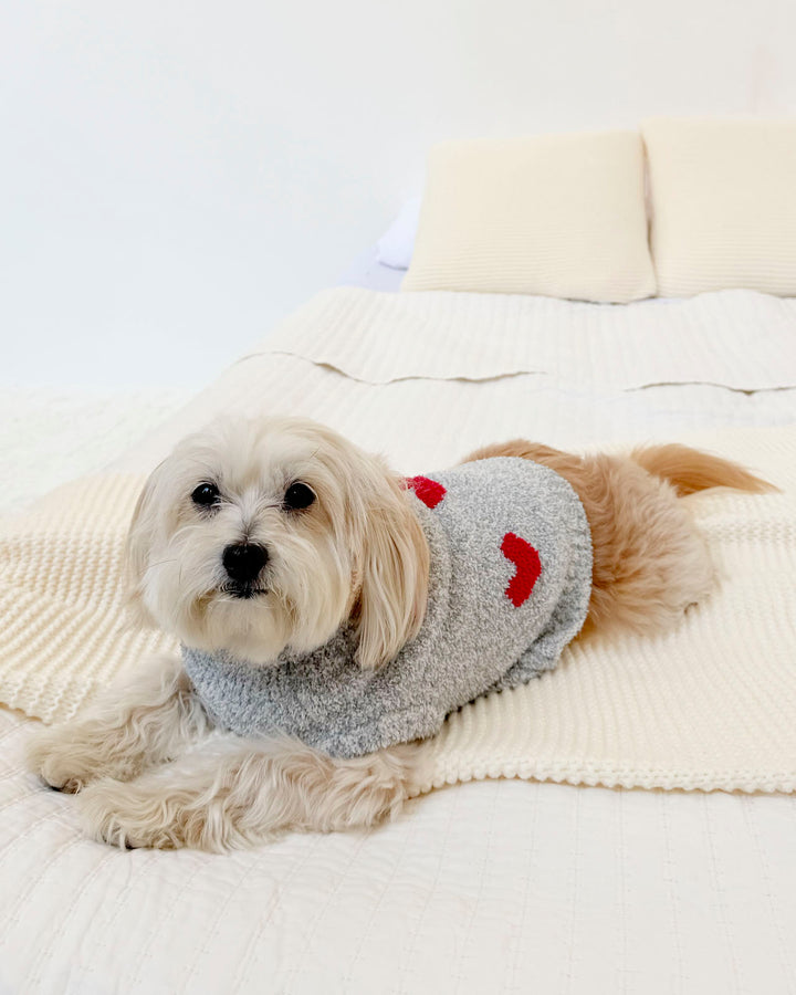 Red Hearts Fuzzy Pet Sweater